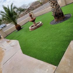 New Patio  Trimm  Trees  Palms 