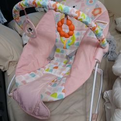 Baby Bouncer 