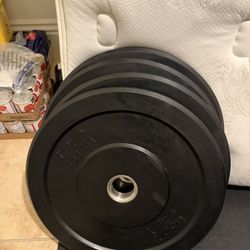 Weight Plates (520 Total Pounds )