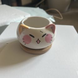 Mini Cat Planters