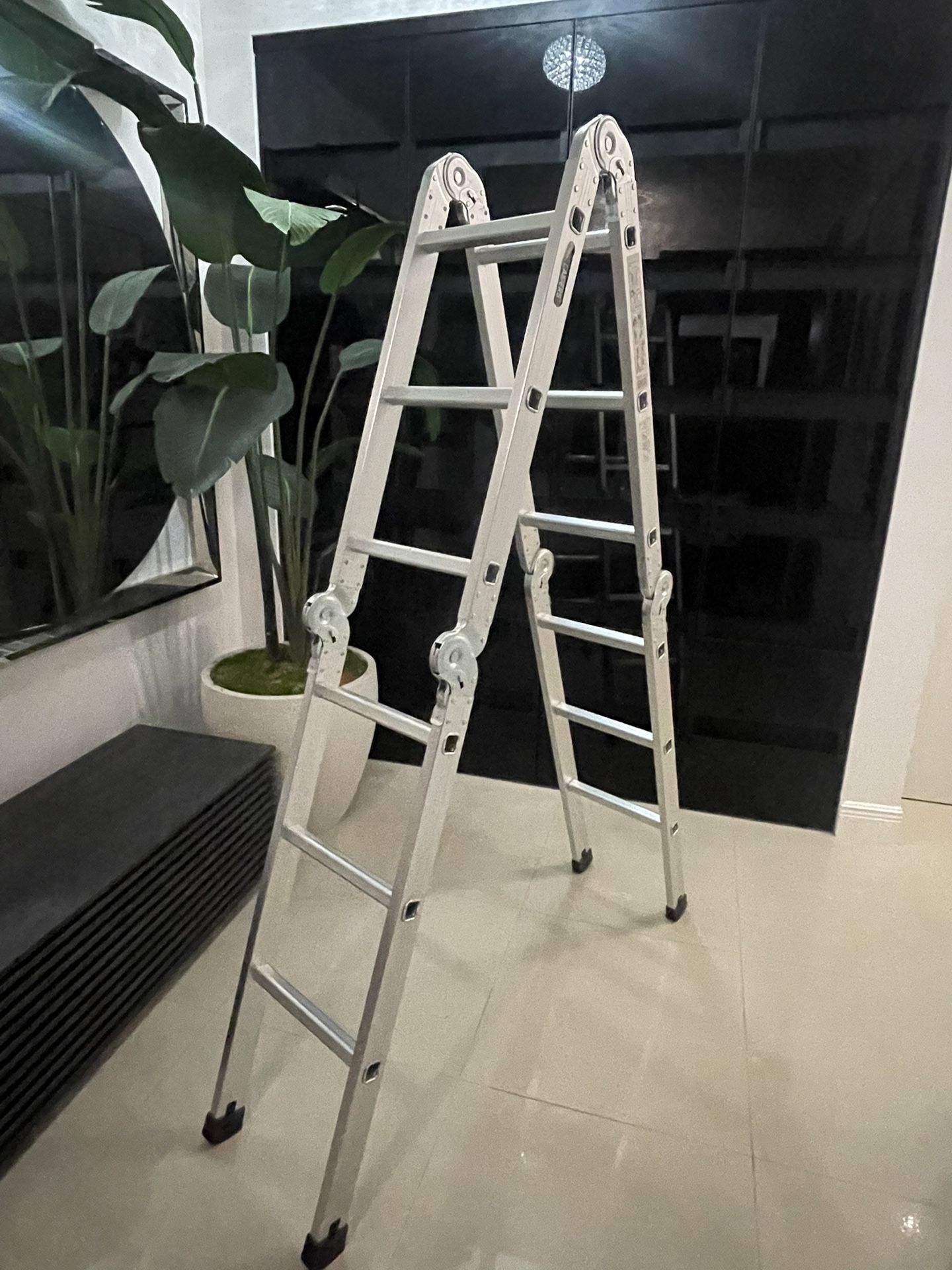 Multi Function Ladder