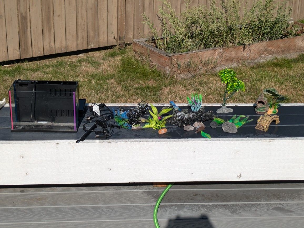 3 Gallon Fish Tank & Lots Of Decor