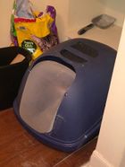 Whisker city litter box filter Outlet