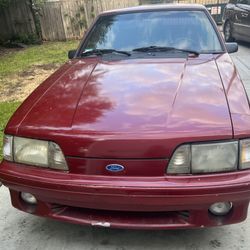 Red Mustang 