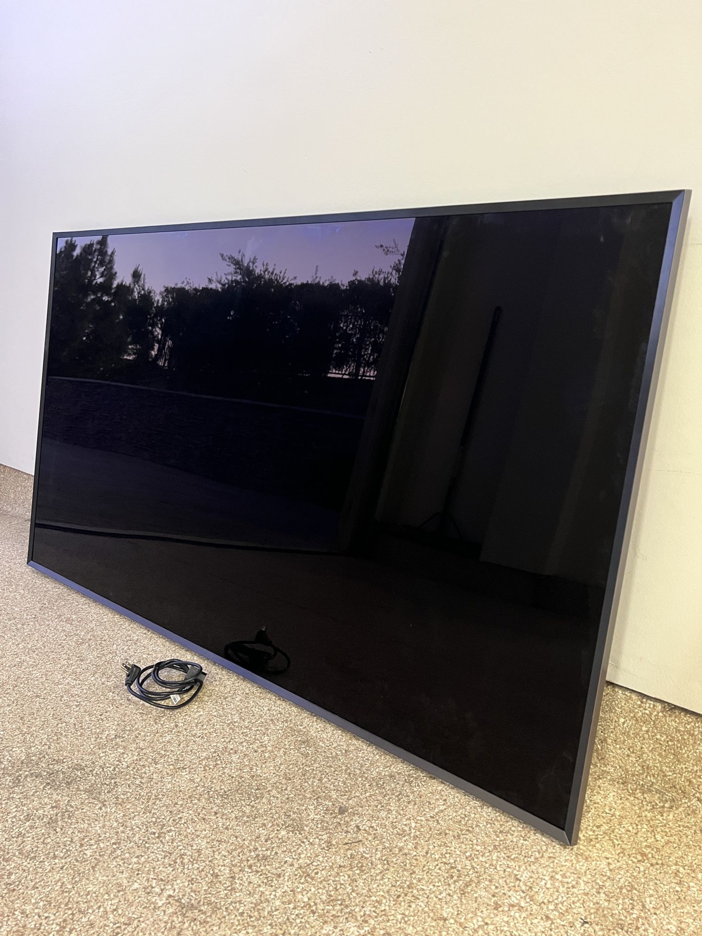 66” Sony Flat Screen Television
