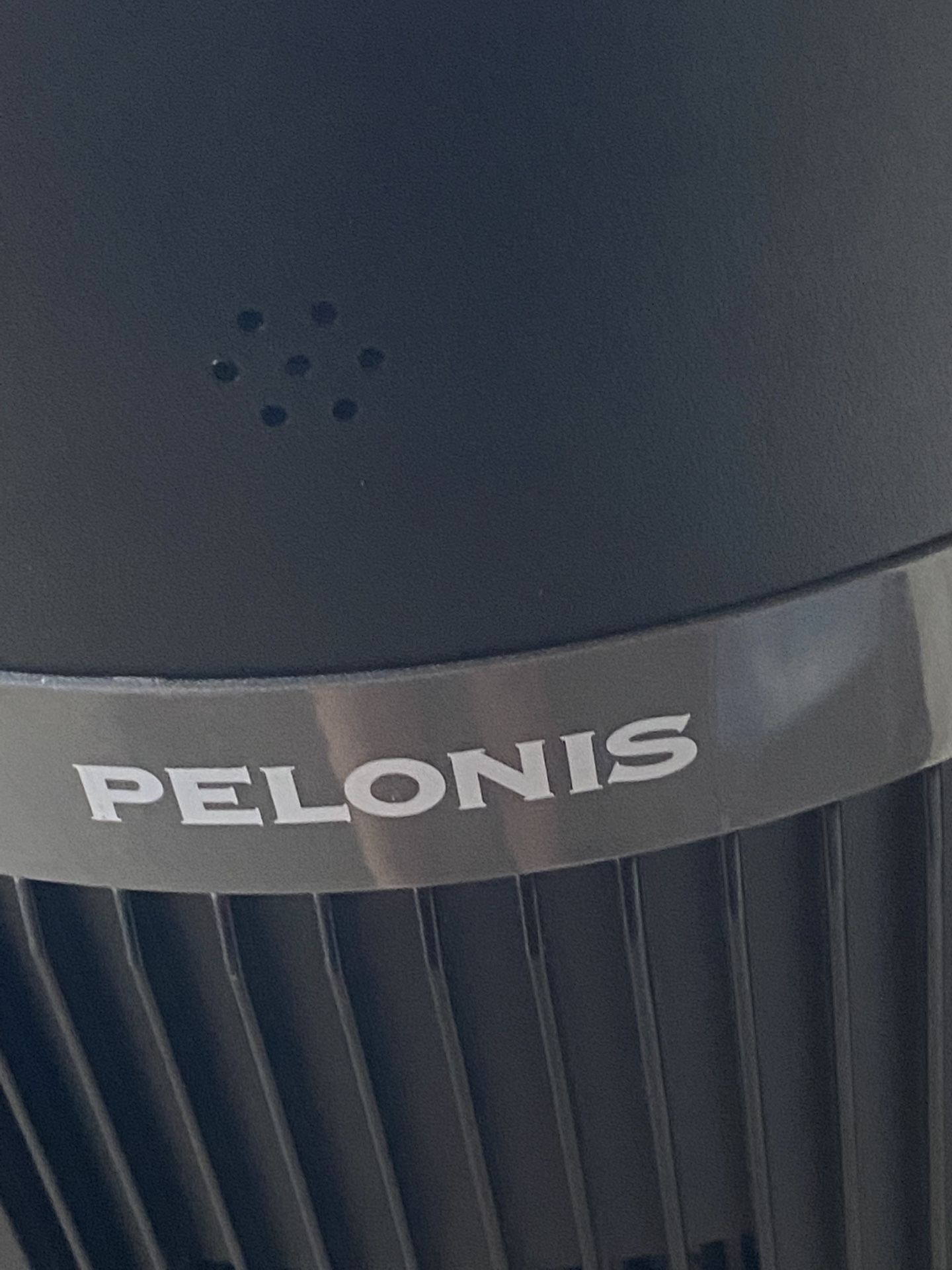 Fan Pelonis Lots Of Speed