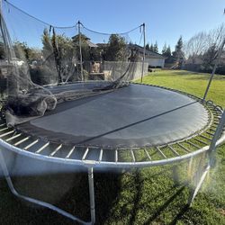 Free Trampoline