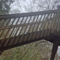 Stair Case Stringers