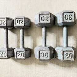 Bench and dumbbells Set 