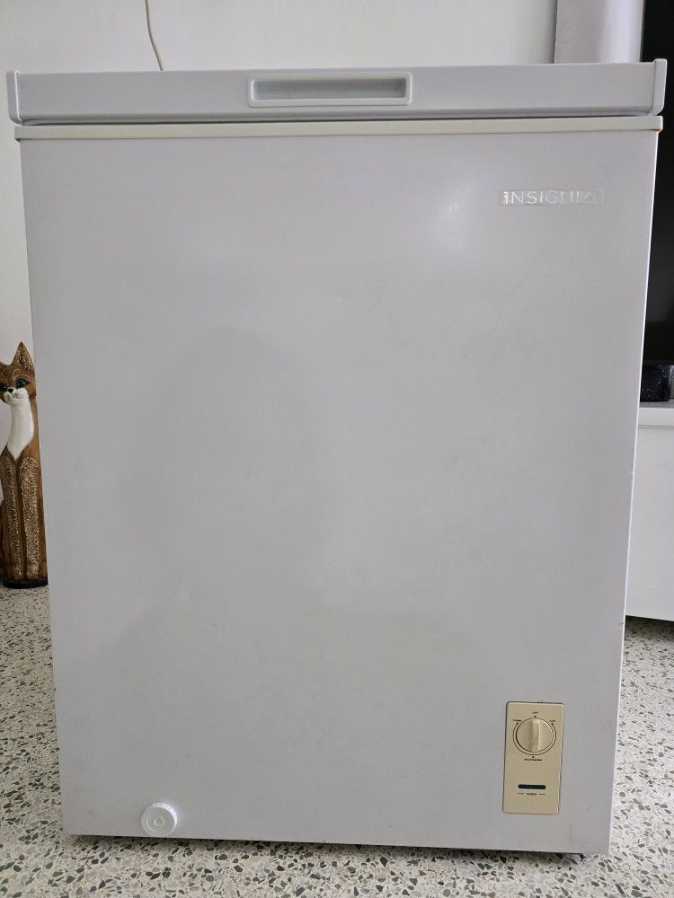 Insignia™ - 5.0 Cu. Ft. Garage Ready-Chest Freezer - White
