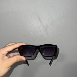 Sunglasses 