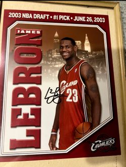 LeBron James 1/1  FIRST professional piece