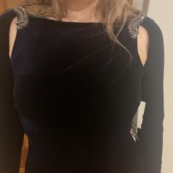 Teri Jon Velvet Dress 