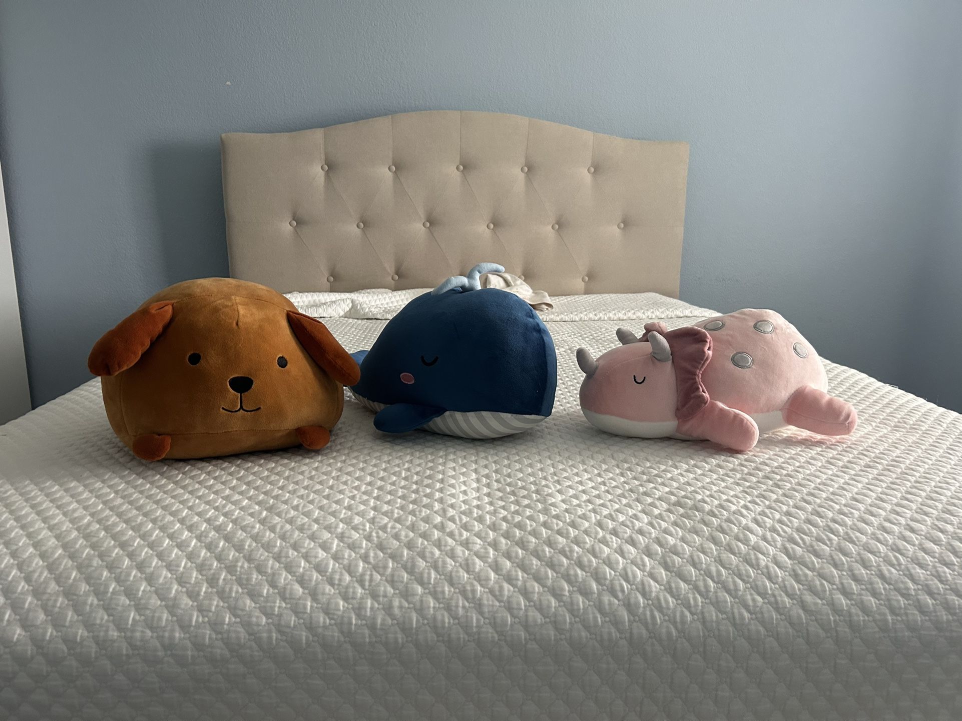 Stuffed Animals
