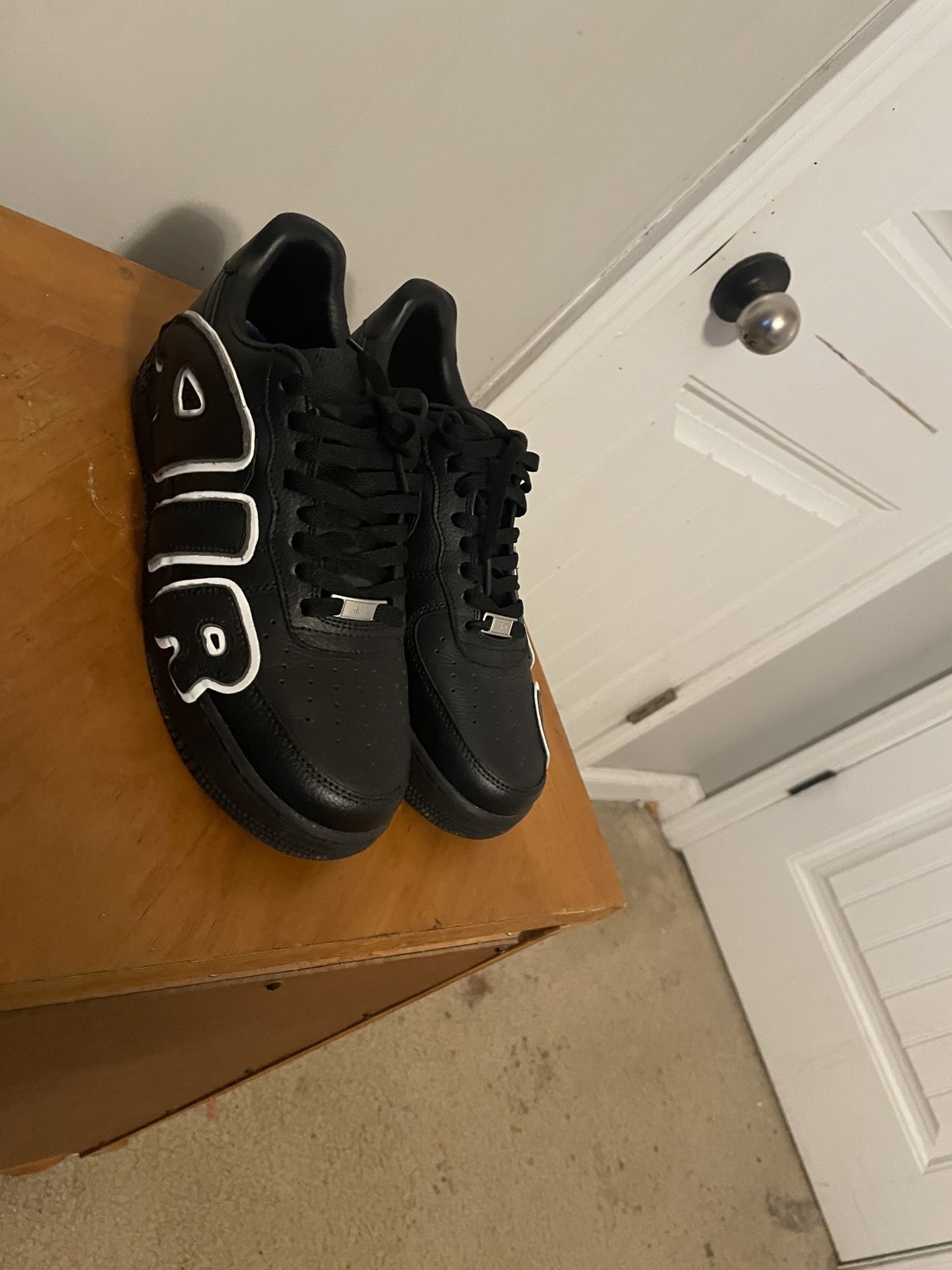 Black And White Cactus Flea