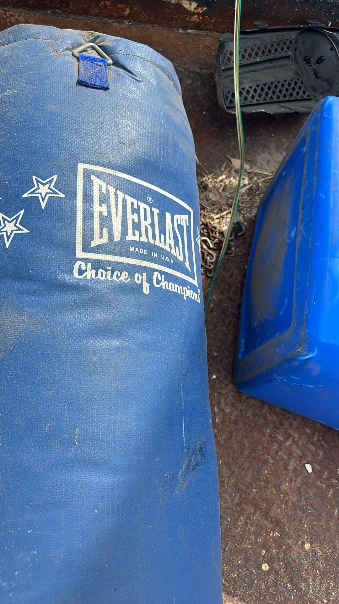 Everlast Punching Bag
