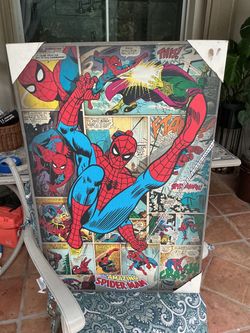 Spider -Man Canvas
