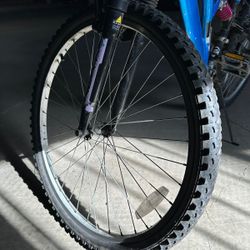 26” Mountain Bike 
