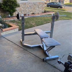 Bench Golds Gym