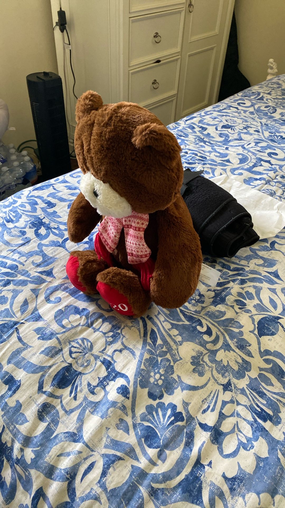 2020 Teddy Bear