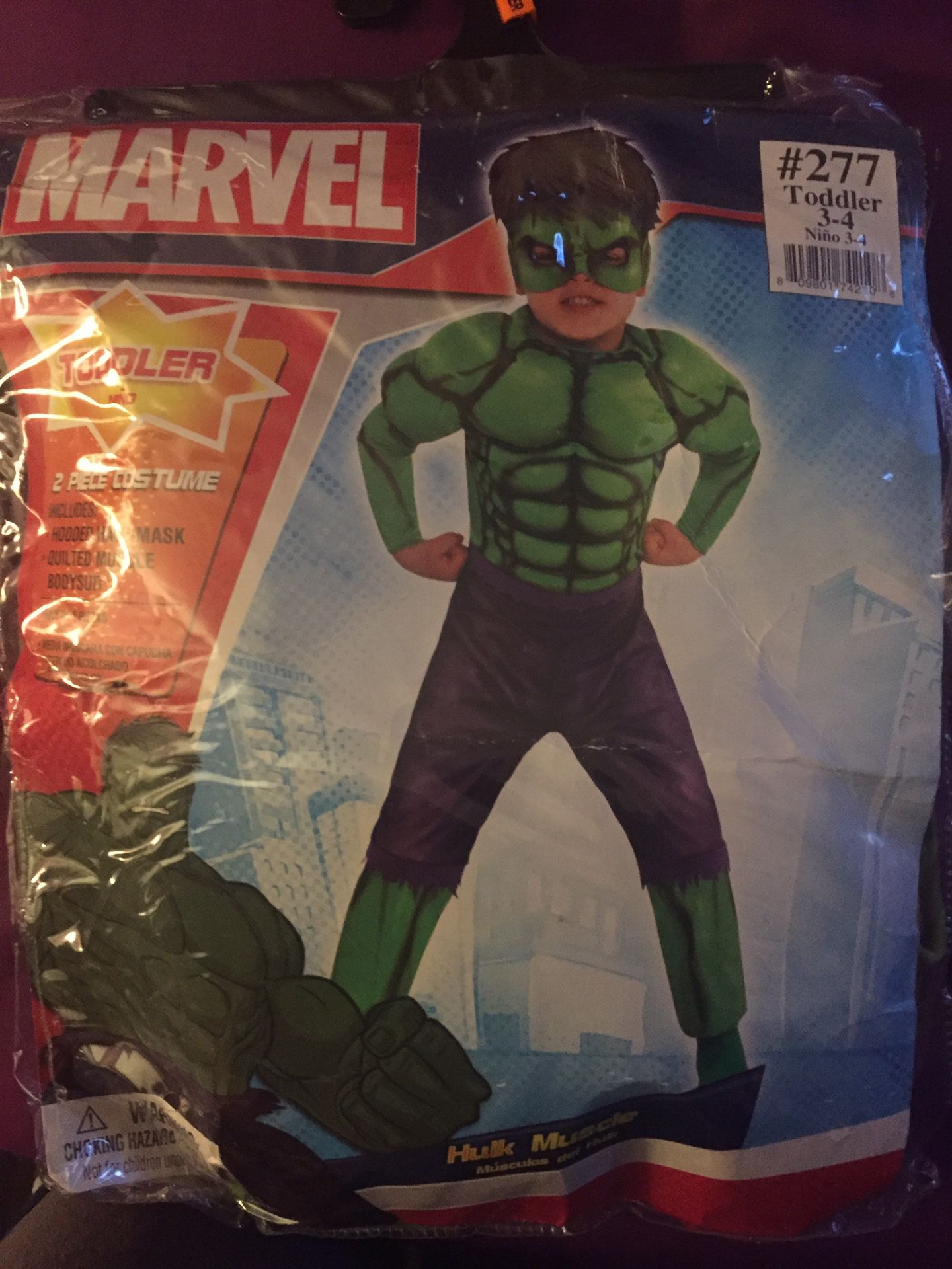 Incredible Hulk costume