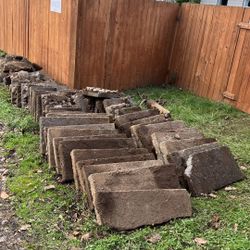 FREE Urbanite Concrete Slabs – Flat Patio Pieces (You Haul)