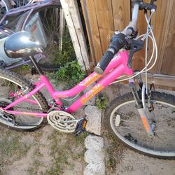 24 ' Pacific Evolution Girls 18 Speed Almost New !