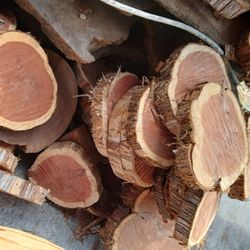 Red Cedar Slices 