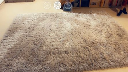 Fluffy Carpet