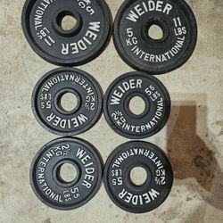44lbs Olympic 2" weights change plates 
