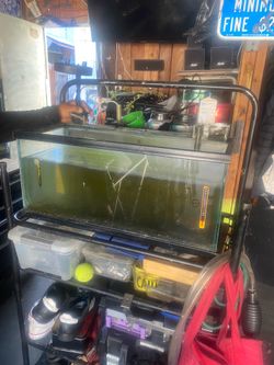 Fish tank