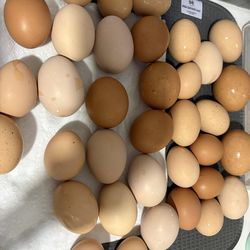 Fresh Eggs For Sale (We Deliver)
