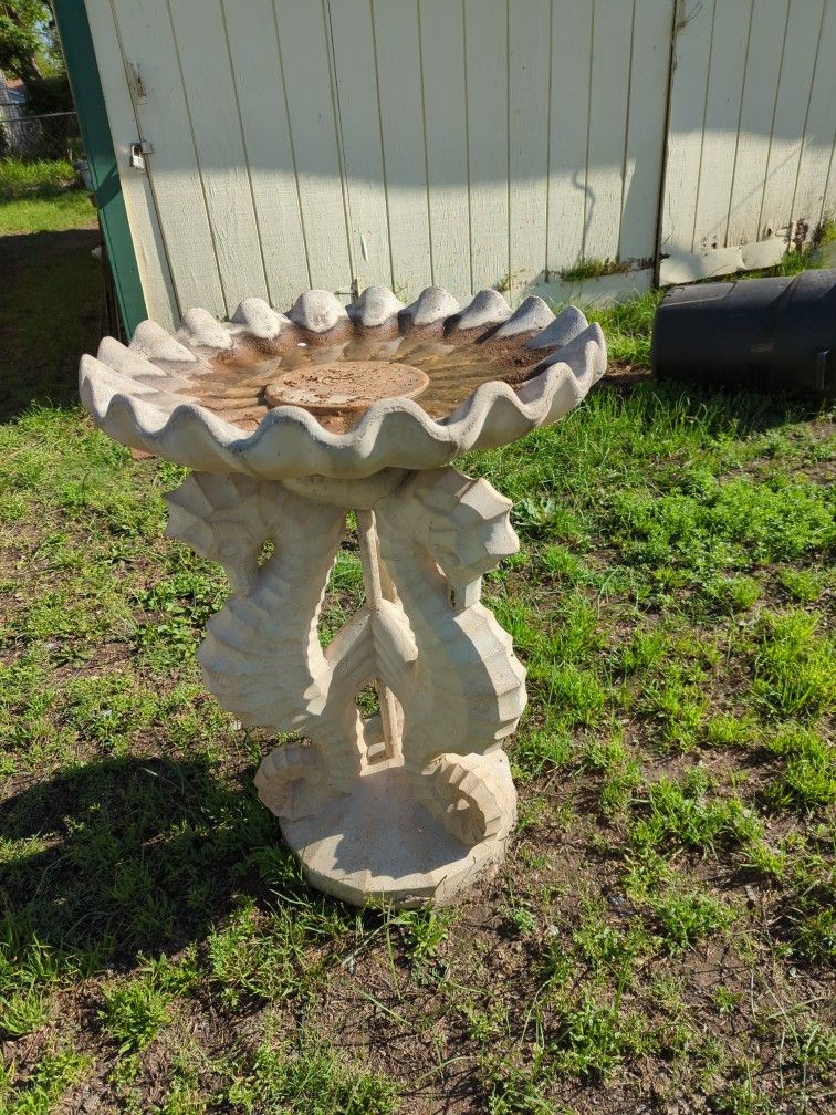 Tri Coastal Seahorse Trio