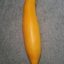 Organic Yellow Zucchini Seeds And Plants! 2026 SEASON EARLY RELEASE! Available Now! 