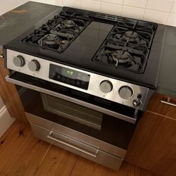 Stainless Steel Range (stove and oven)
