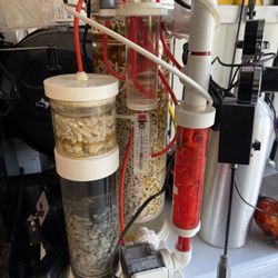 Saltwater Tank Calcium Reactor setup