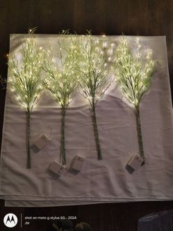 Lighted branches