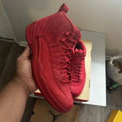 Gym Red Jordan 12s