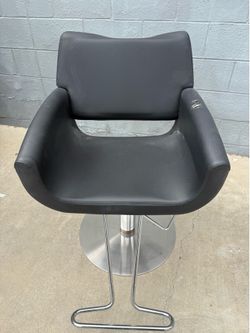 Salon Chair