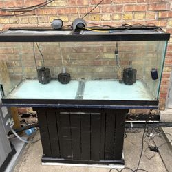 75 Gallon Fish Tank And Stand