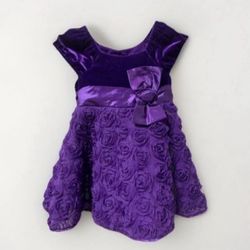 2T  Purple Dress Rose Flower  24 Months Velvet 4 Layer Skirt Button Up Bow Short Sleeve