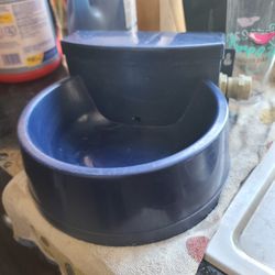 Dog Water Bowl