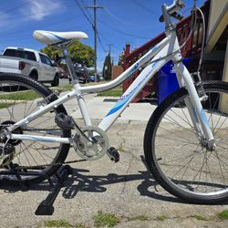 Giant Mountain Bike Ready To Ride 