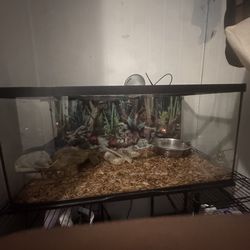 fish take that was used as a snake tank