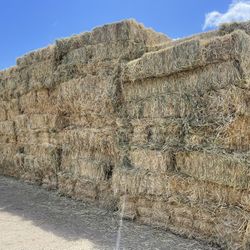 Oat Hay For Sale 