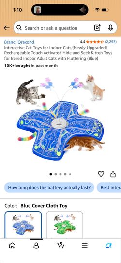Interactive cat toy