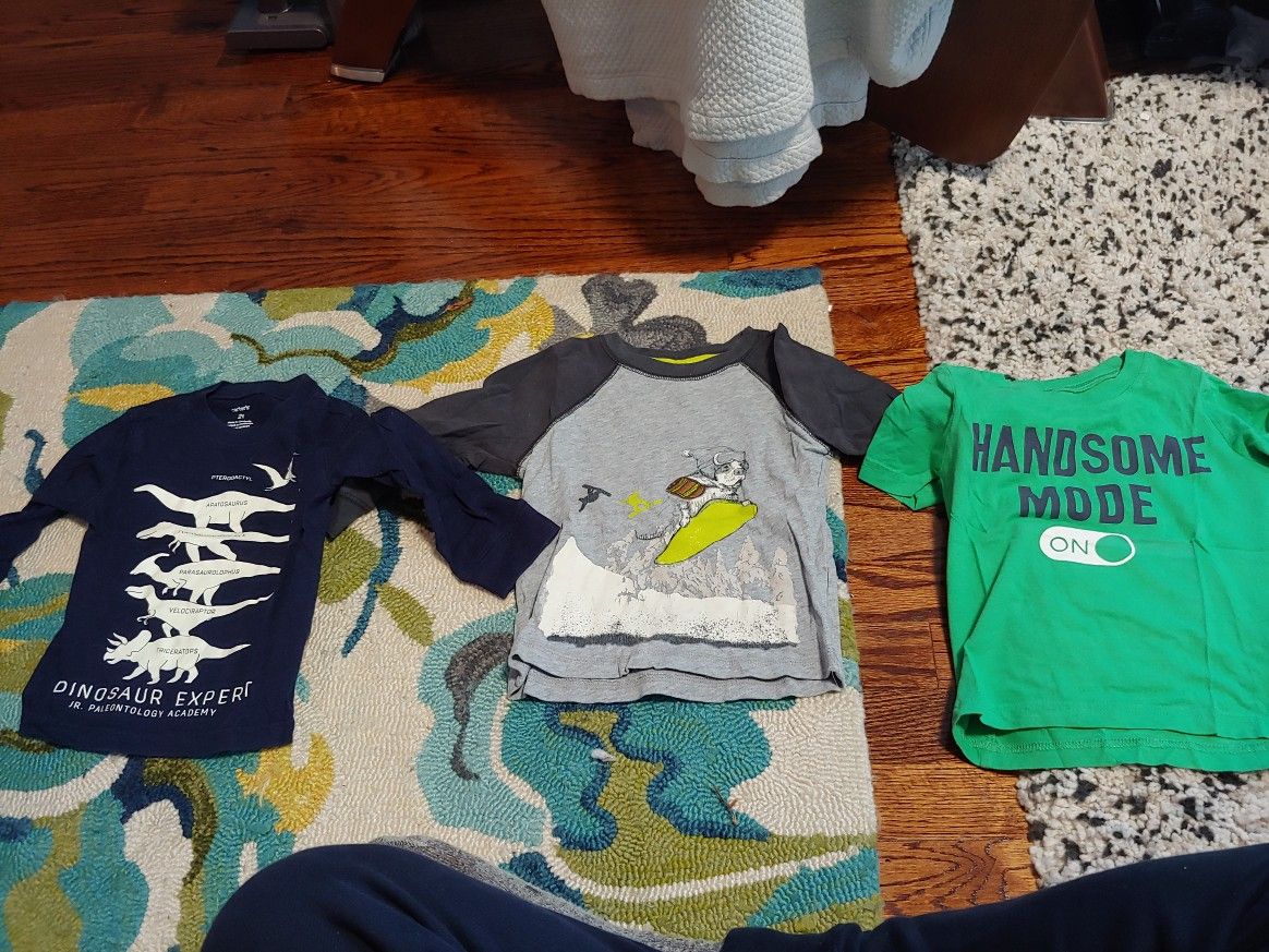 Lot of 3, 2t toddler shirts. Dinosaur, snowboard dog, handsome mode