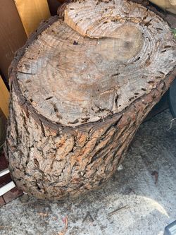 Wooden log