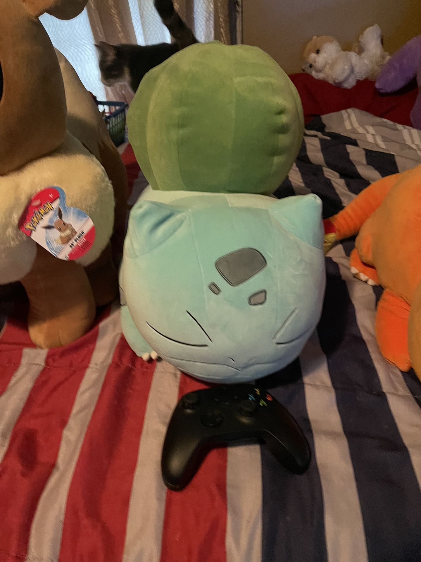 Pokémon Plushy