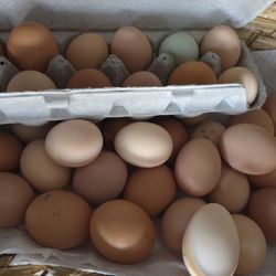 Eggs
